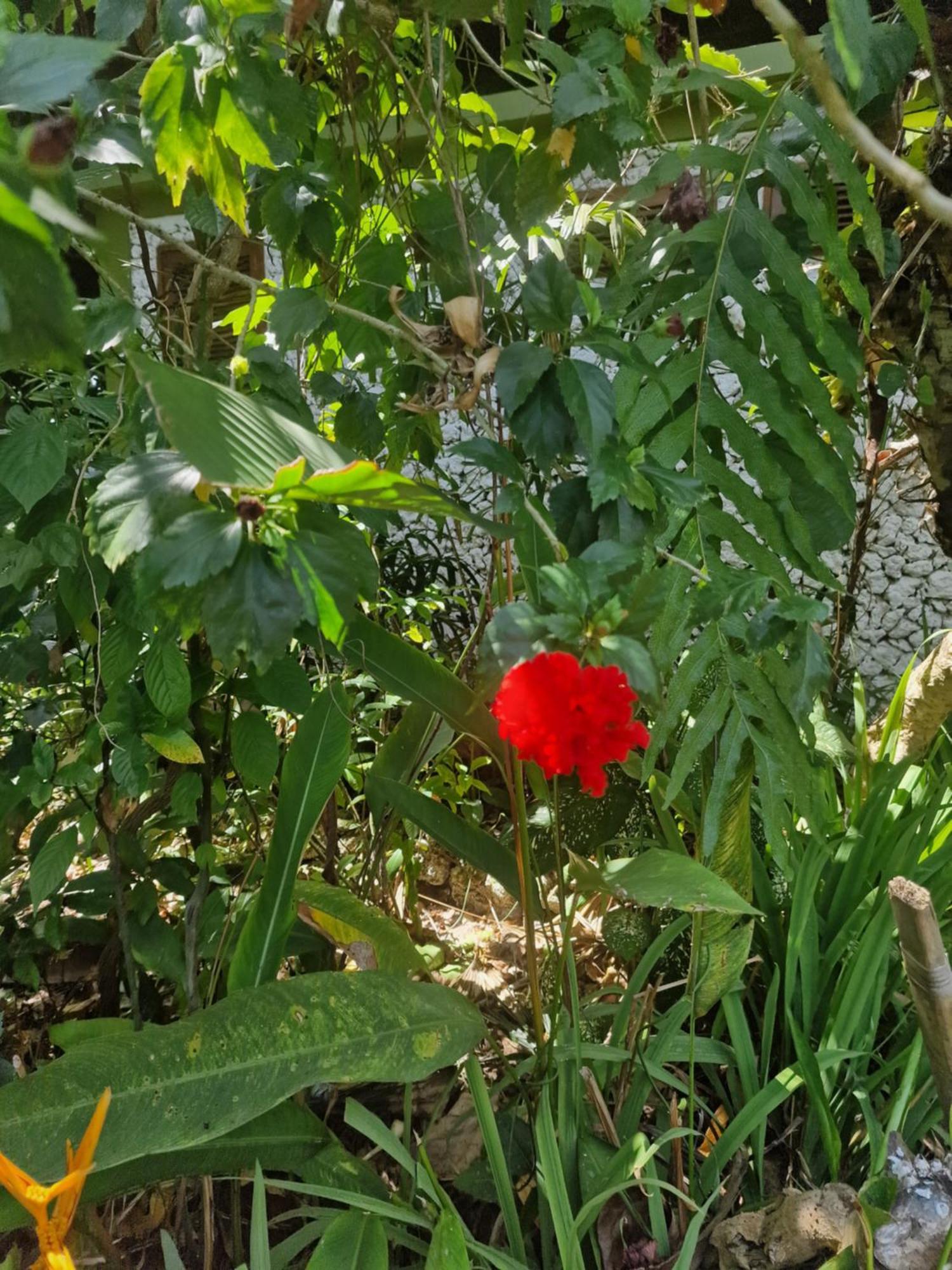 Rumah liburan Eco House Bali