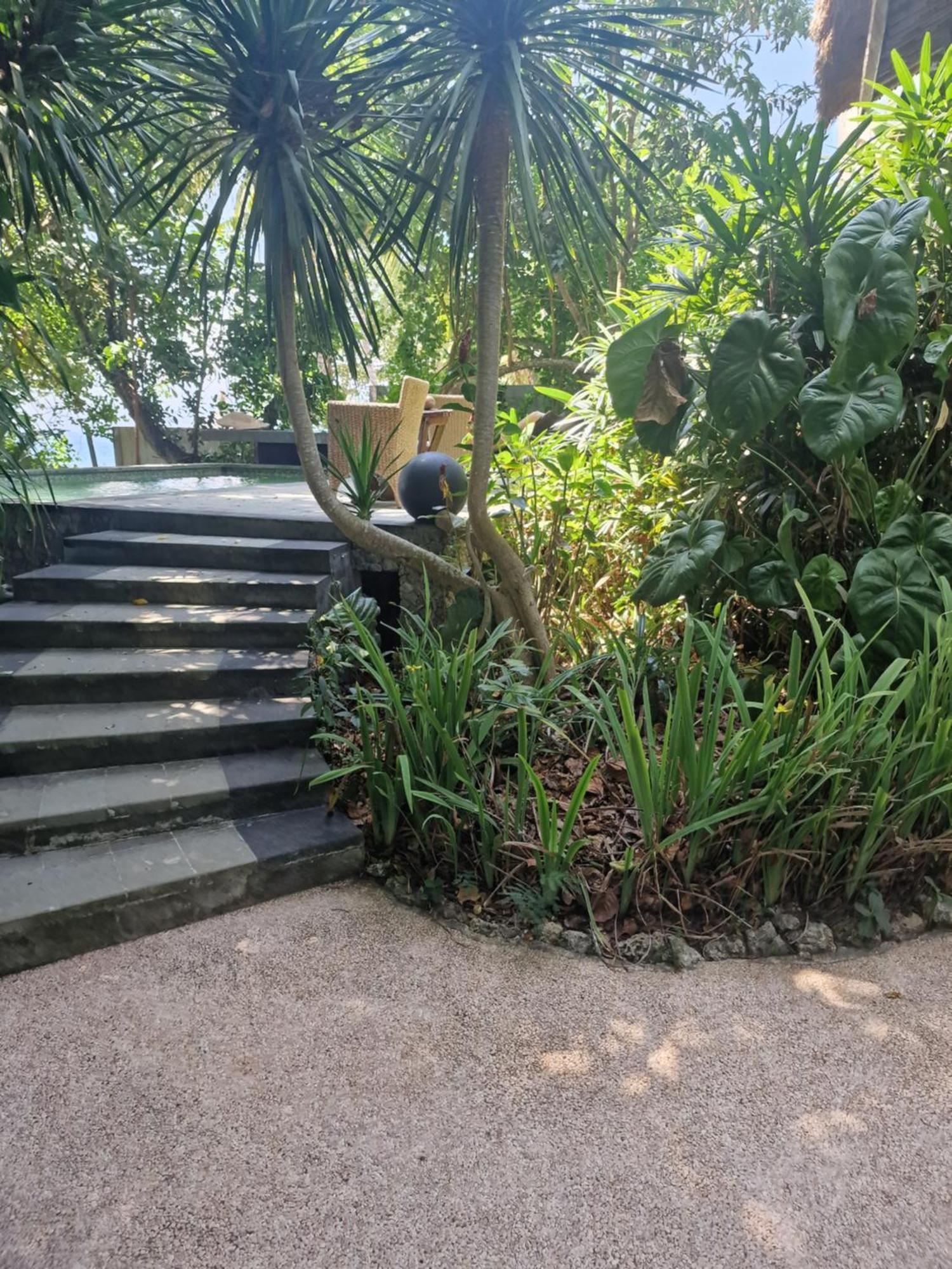 Eco House Bali Penginuman
