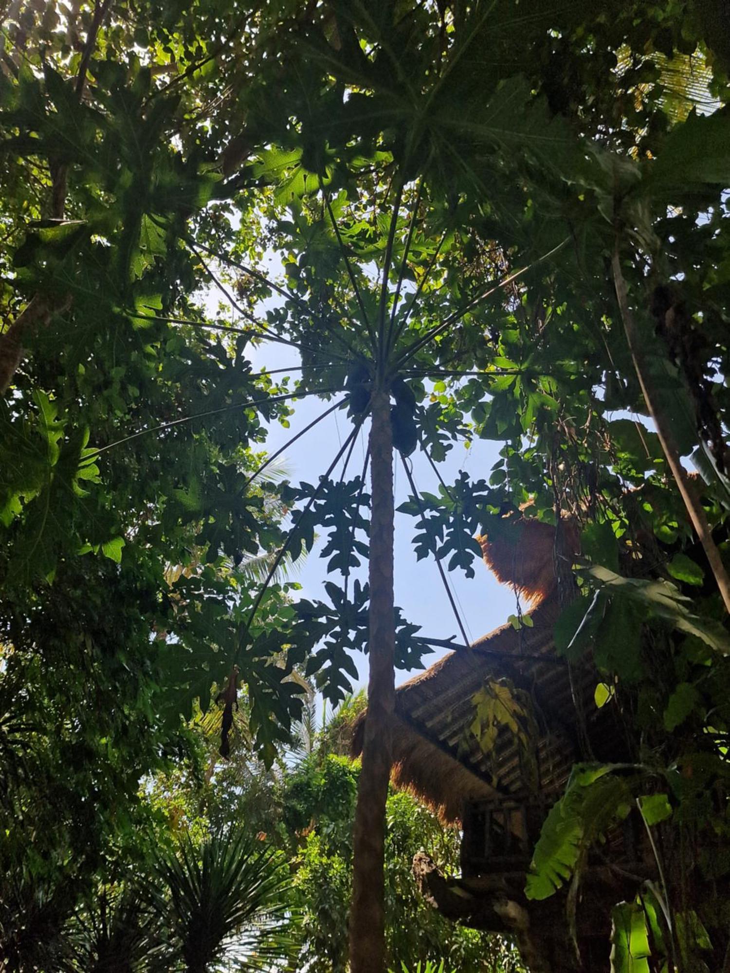 Eco House Bali Rumah liburan