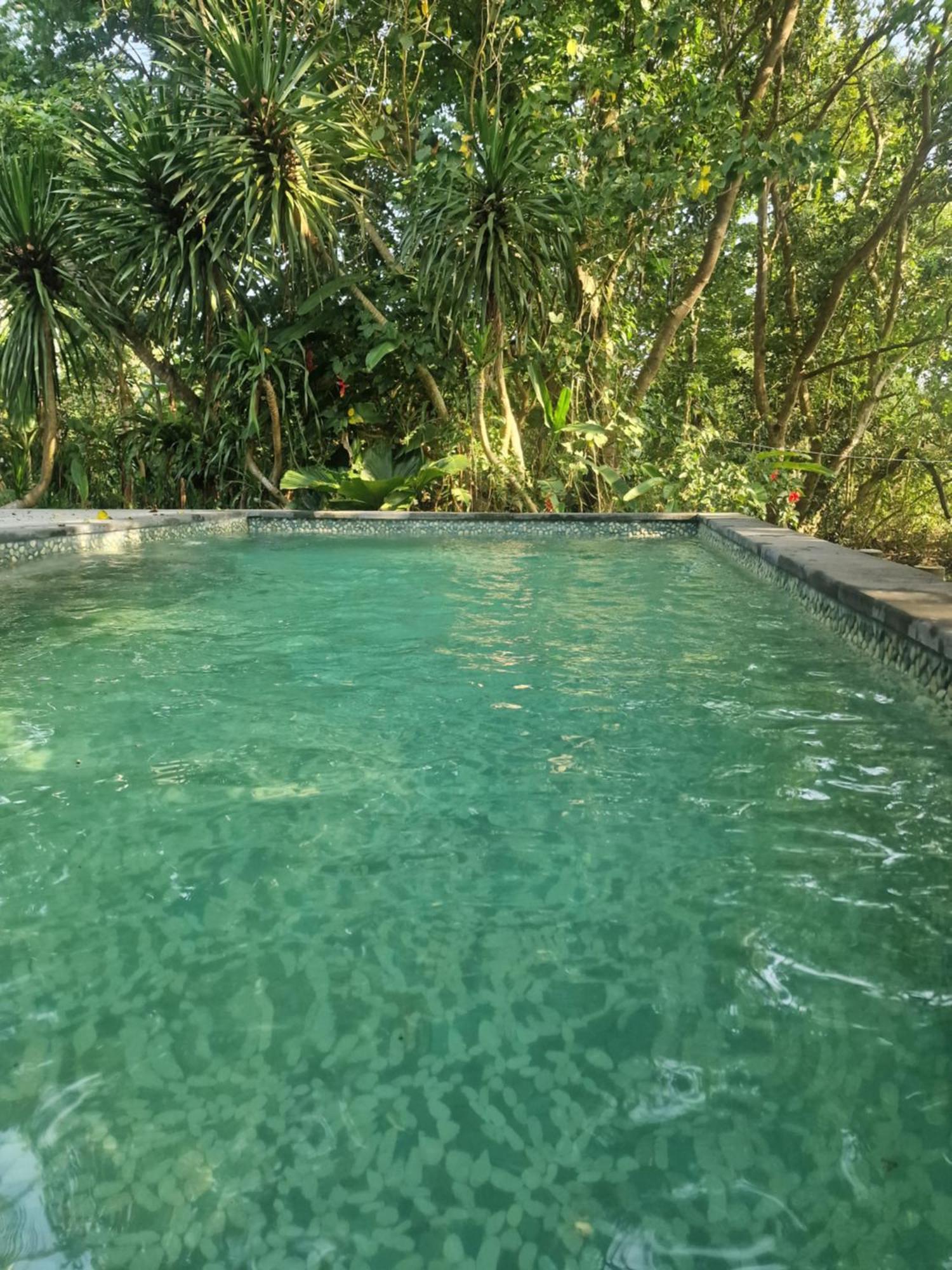 Eco House Bali *