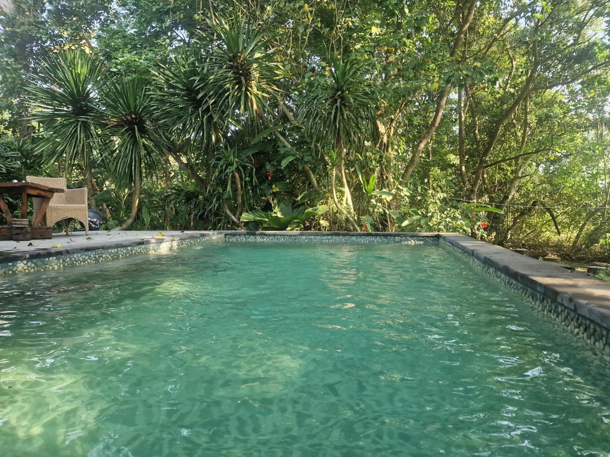 Eco House Bali Penginuman