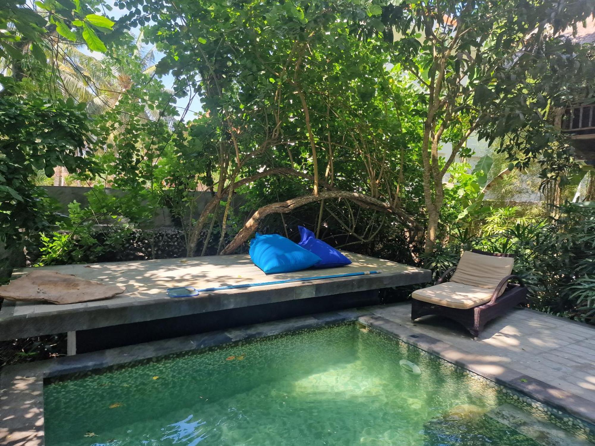 Eco House Bali Penginuman