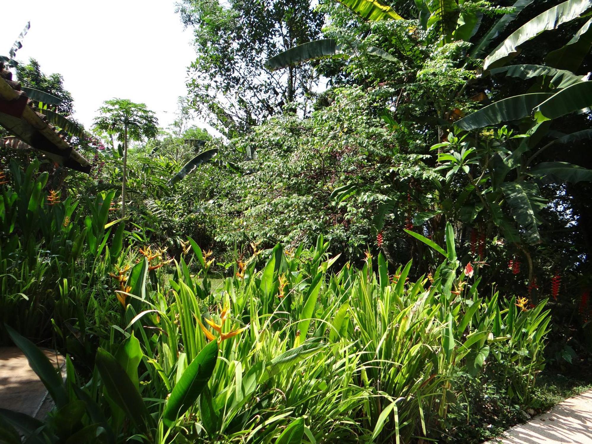 Hébergement de vacances Eco House Bali Penginuman