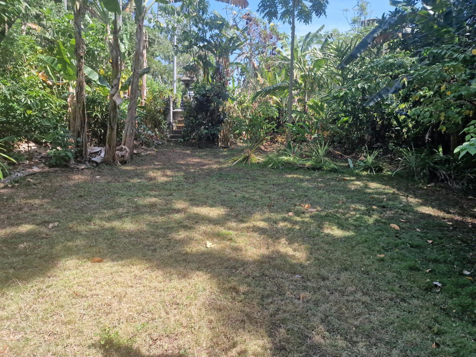 Eco House Bali Hébergement de vacances Penginuman
