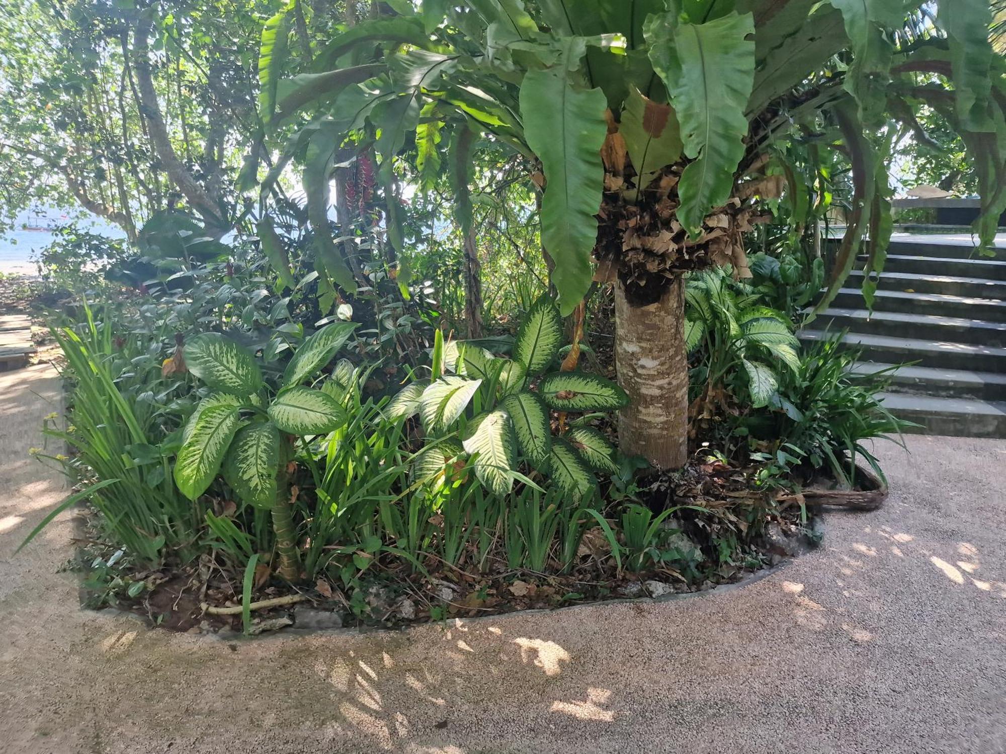 Hébergement de vacances Eco House Bali